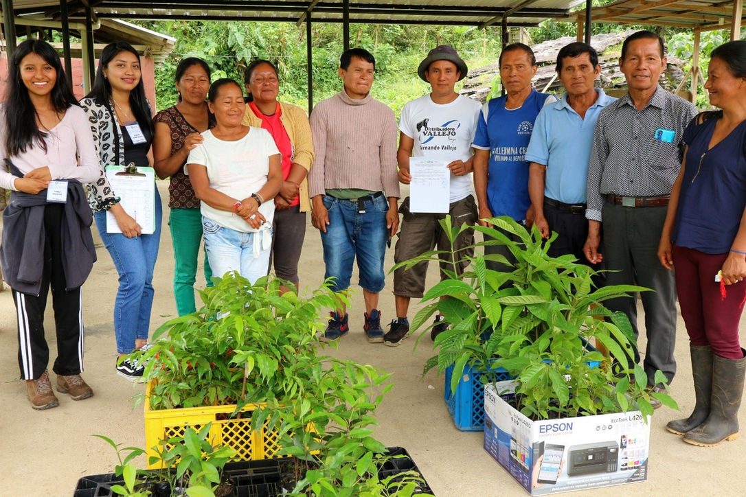 Reforestation project linked to WINAK and chakra agroforestry